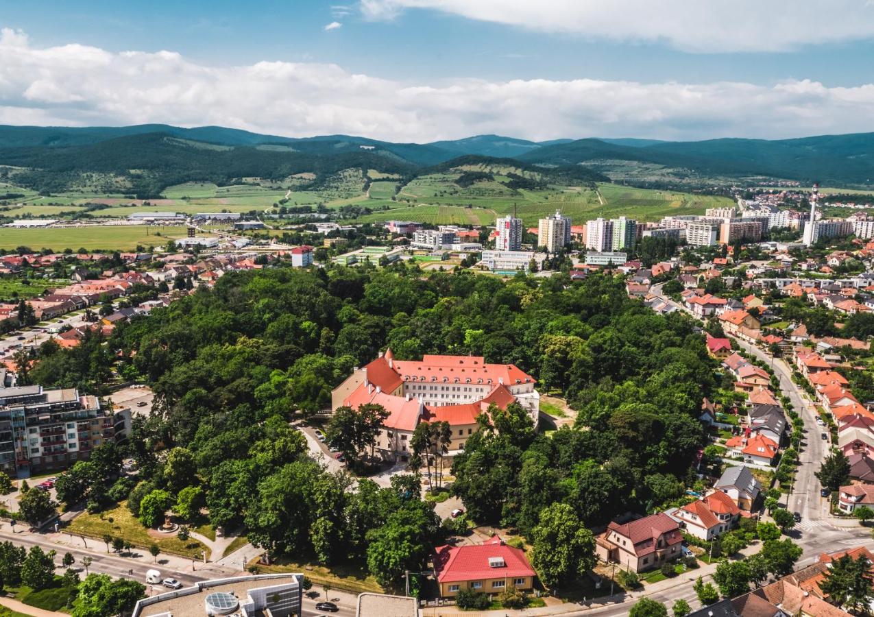 Palace Art Hotel Pezinok Exteriör bild